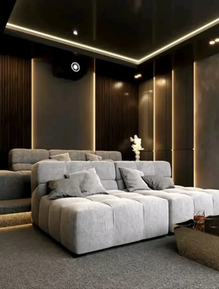 Home Cinema Room Builders South Africa