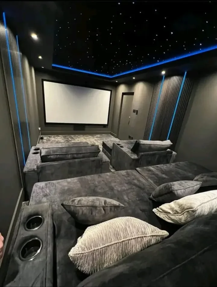 Home Cinema Construction Company Gauteng