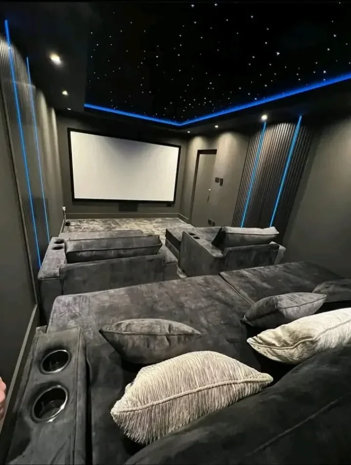 4 (2) Home Cinema Construction Company Gauteng